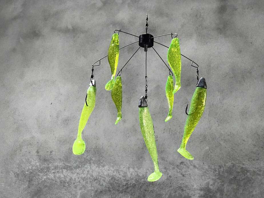 Atlas umbrella rig for stripers! 